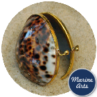 8316 - Polished Shell Purse - Cowrie